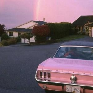 免费的全黄A片自慰
